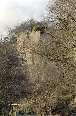 Detail of Wigmore Castle